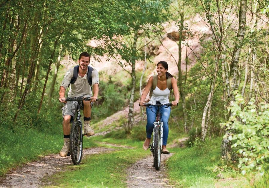 woodland setting at quarry walk lodges near cheadle