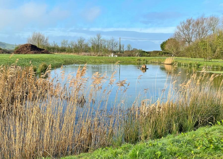 rookery manor lodges near weston-super-mare