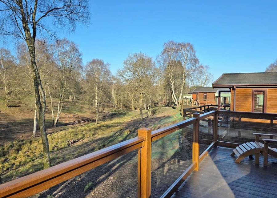 lodges at silver trees holiday park near Rugeley