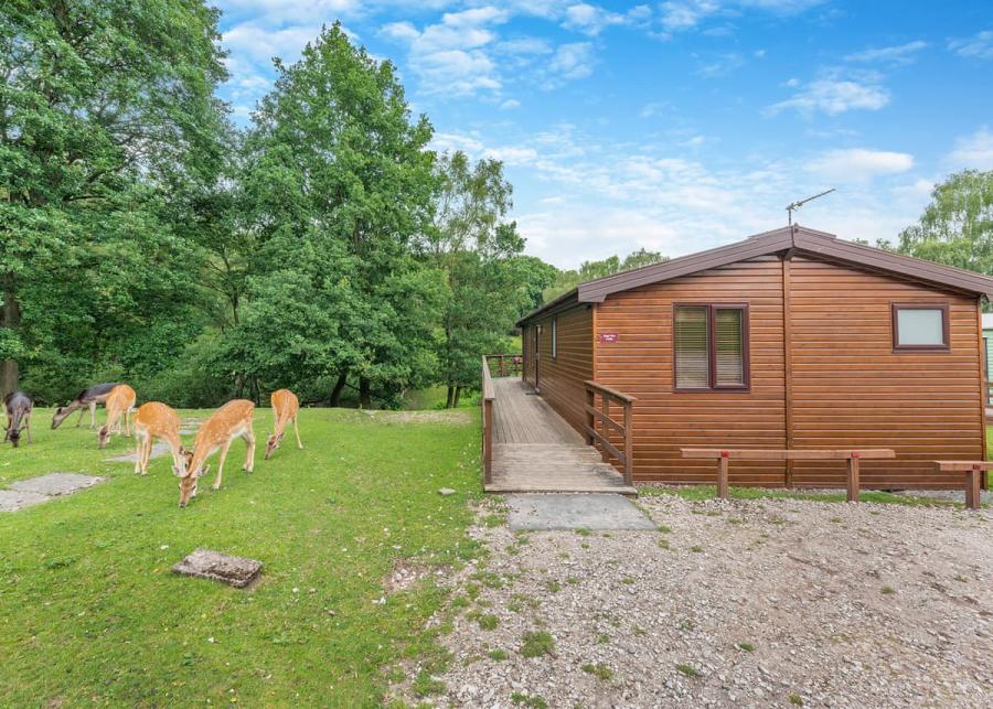lodge at silver trees holiday park near Rugeley