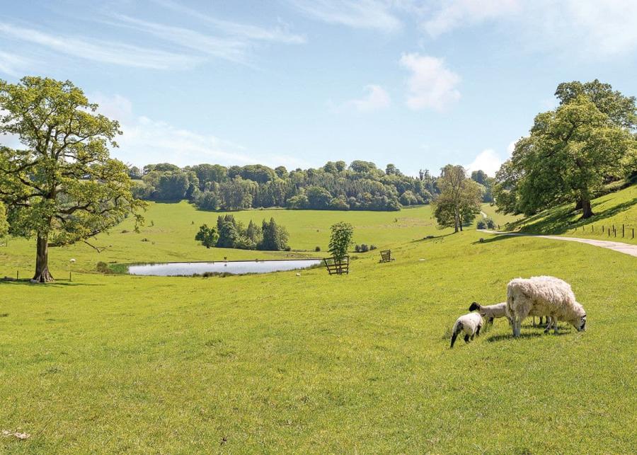 park setting swandown lodges in chard