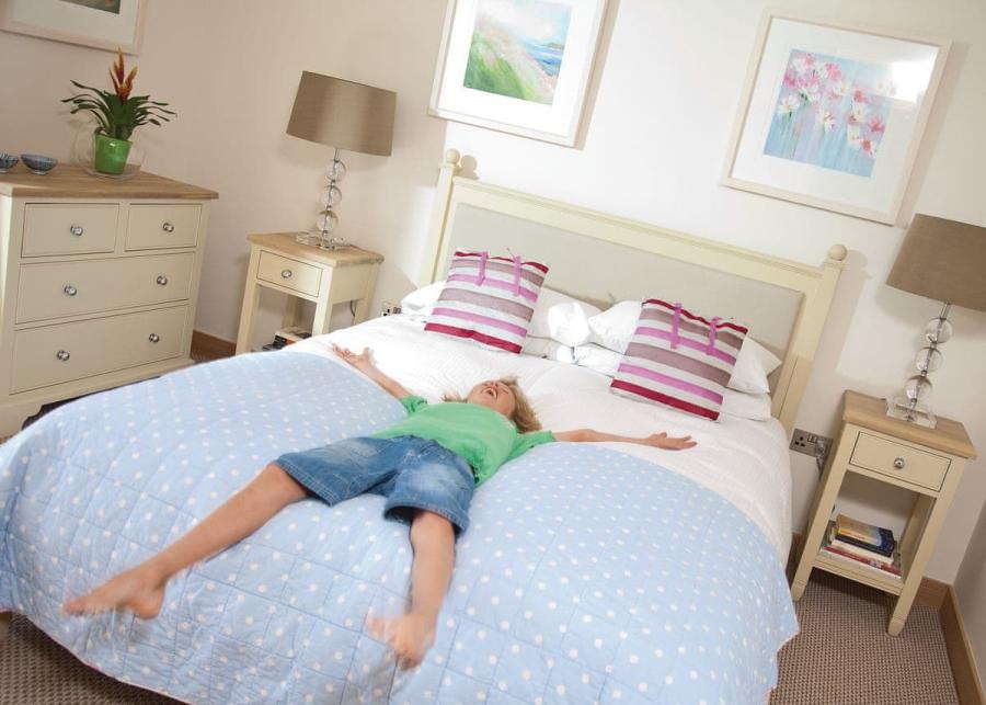 swandown lodges in chard