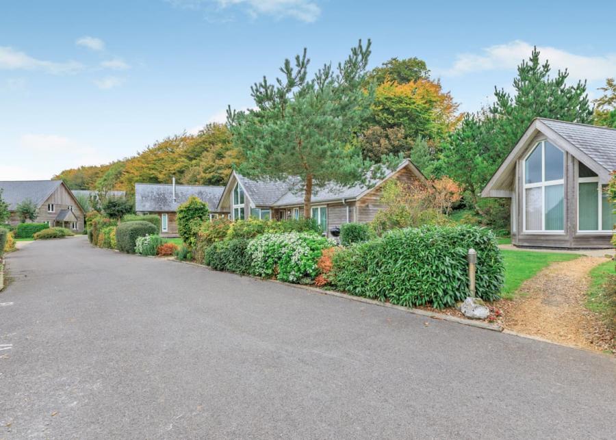 swandown lodges in chard