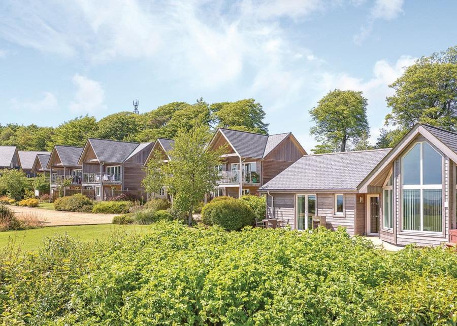 lodge holidays at swandown lodges in chard