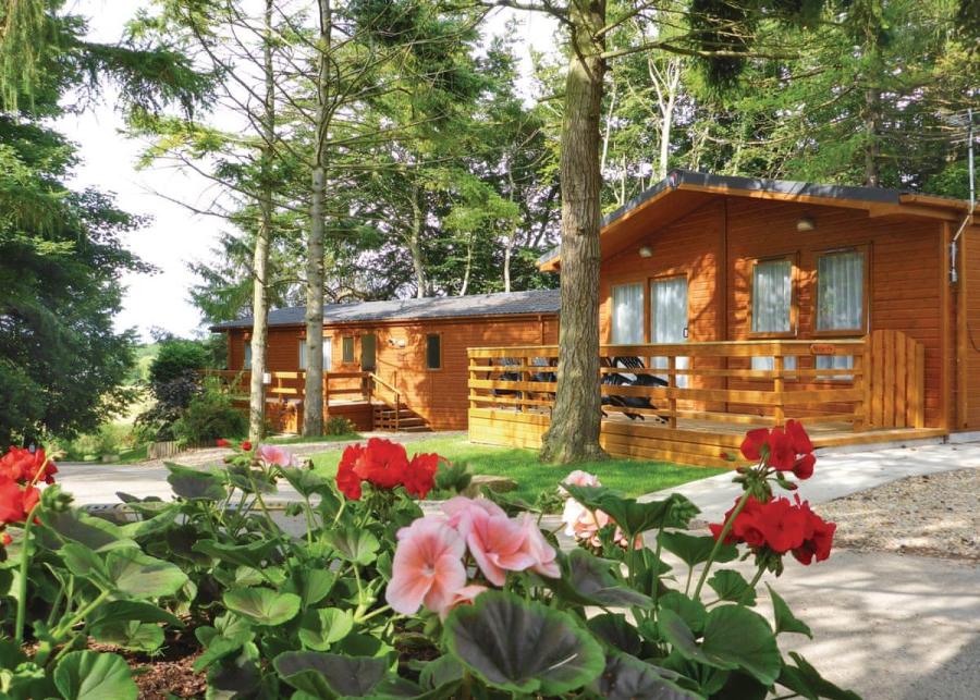 lodges at allerton holiday park 