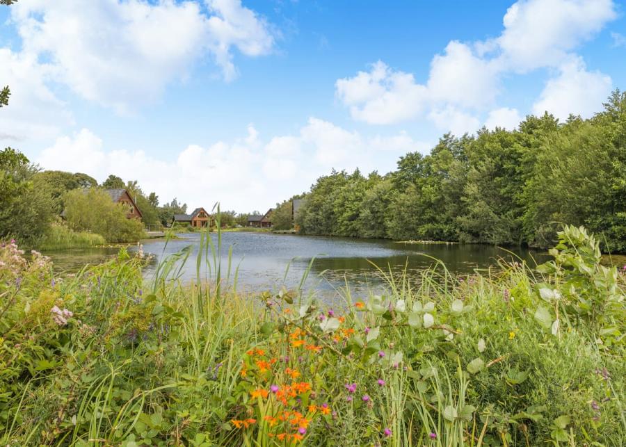 anglesey lakeside lodges in anglesy