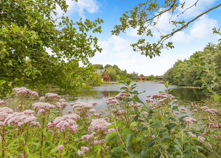 anglesey lakeside lodges in anglesy