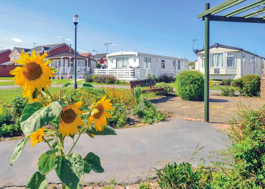 caravan breaks at lido beach holiday park