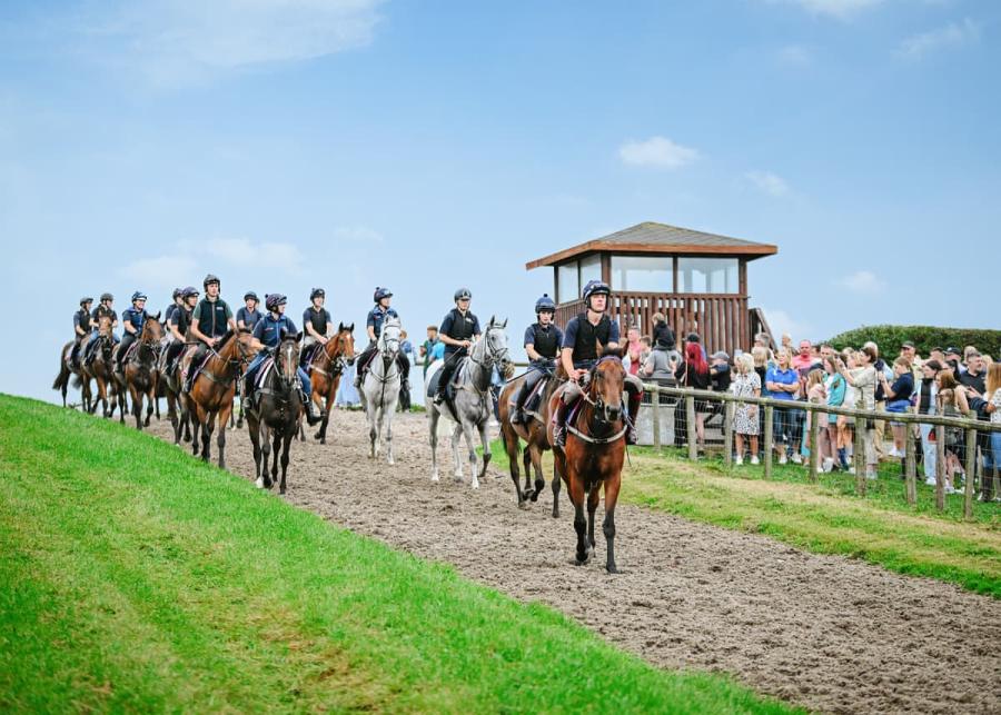 pant wilkin lodges and equestrian centre in cowbridge