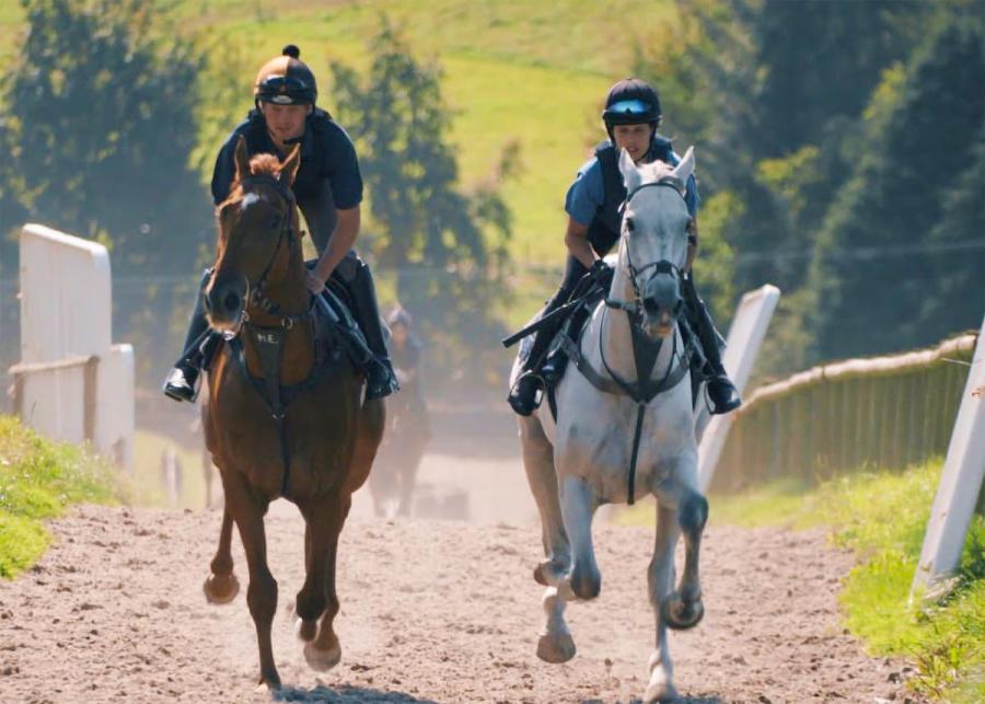 pant wilkin lodges and equestrian centre in cowbridge