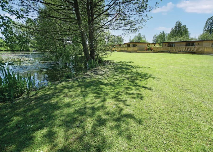 fishing at pickering lodges near pickering