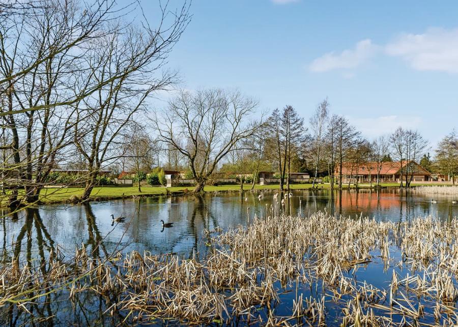 fishing lake at pickering lodges near pickering