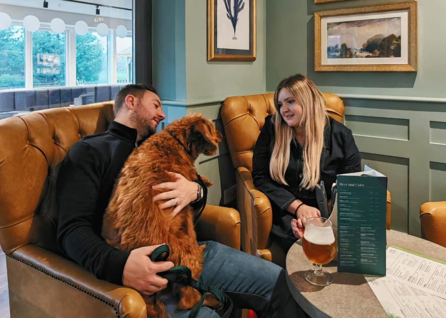 dog friendly lodge park at wayfind pennant park in holywell