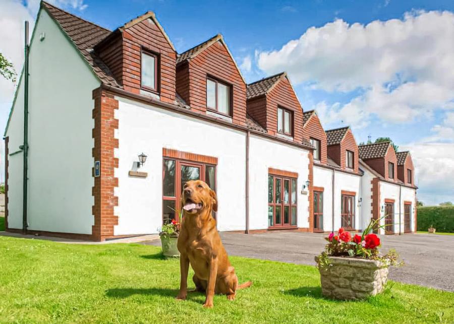 white rose holiday park in thirsk
