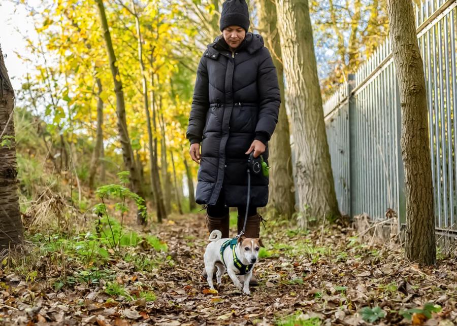 dog friendly at willow pastures country park near hull