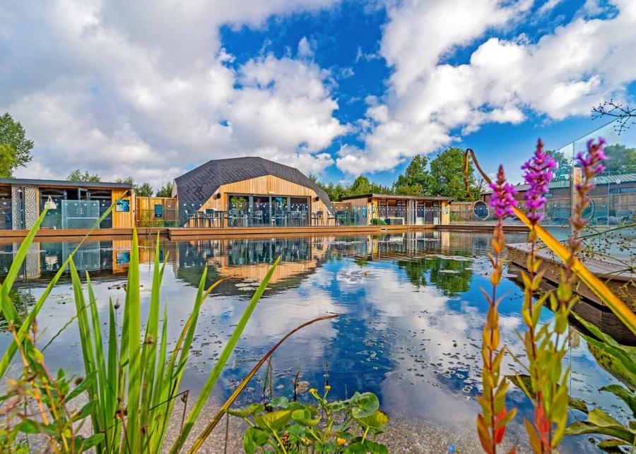 outdoor pool at yorkshire spa retreat in york 