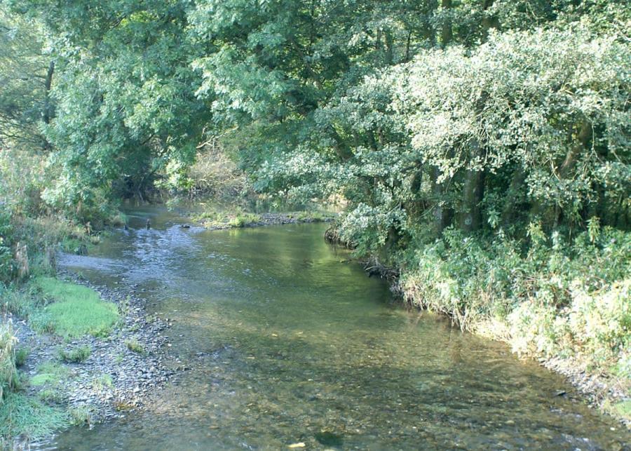 river at aberdwylan holiday park near abercych