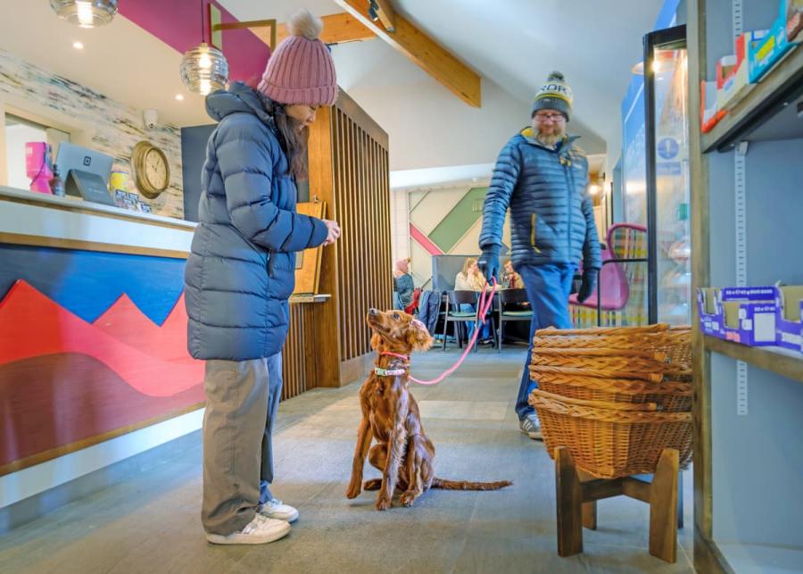 dog friendly at ben nevis holiday park near fort william