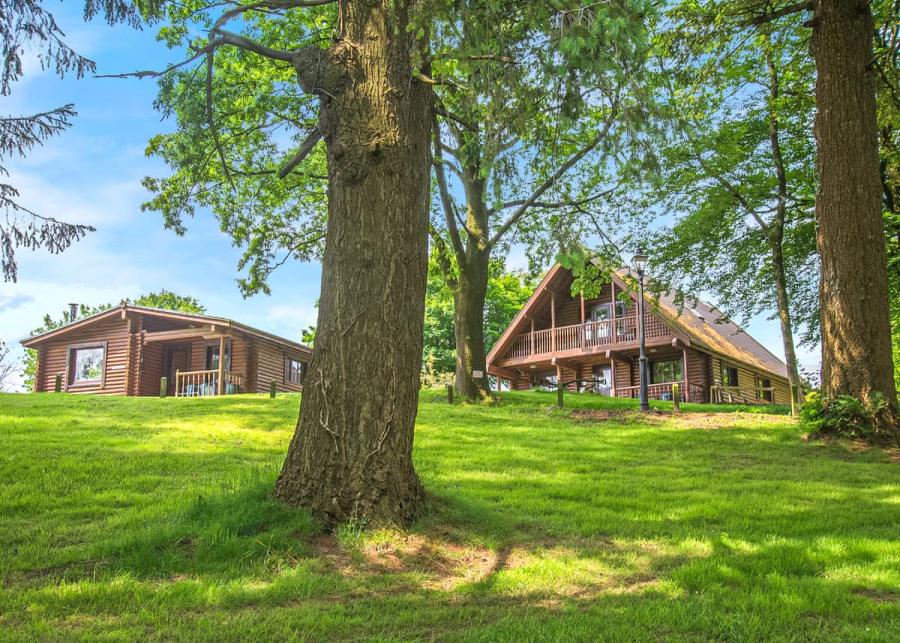 lodges at pantglas lodges in llanfynydd