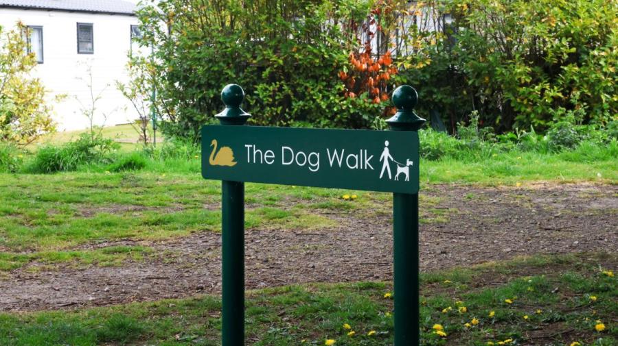 the dog walking walks at Riverside Holiday Park