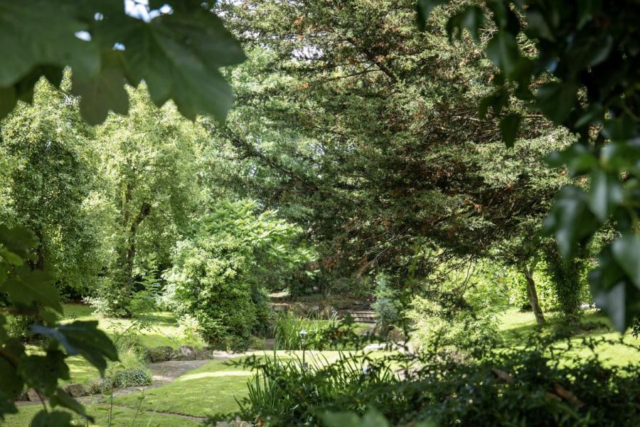 scenic woodland walks around Royal Umpire Holiday Park