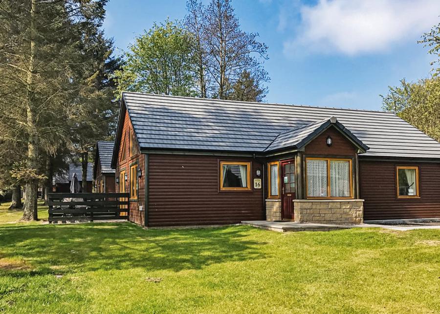 woodedn lodges at st andrews forest lodges in kincaple