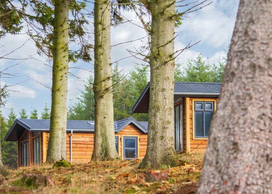 luxury lodge breaks at thirlestane woodland lodges in lauder