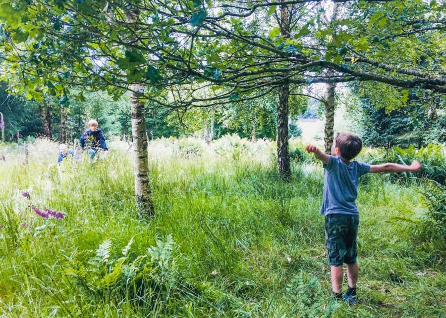 green spaces at thirlestane woodland lodges in lauder
