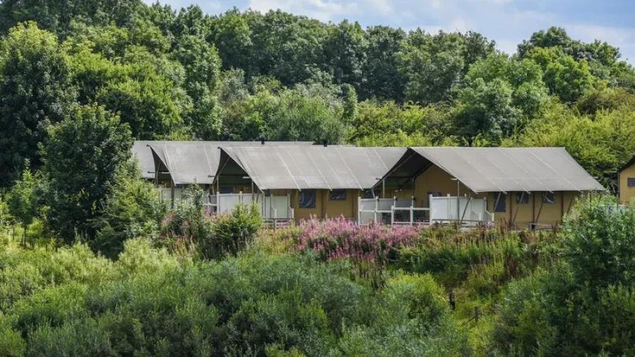 view of the lodges in the countryside