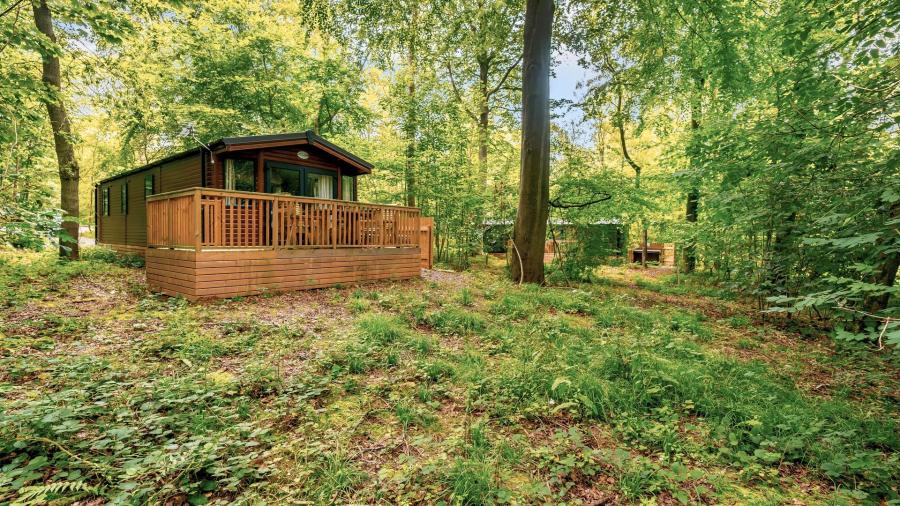 lodges in the woodlands at Kenwick Woods Lodge Resort