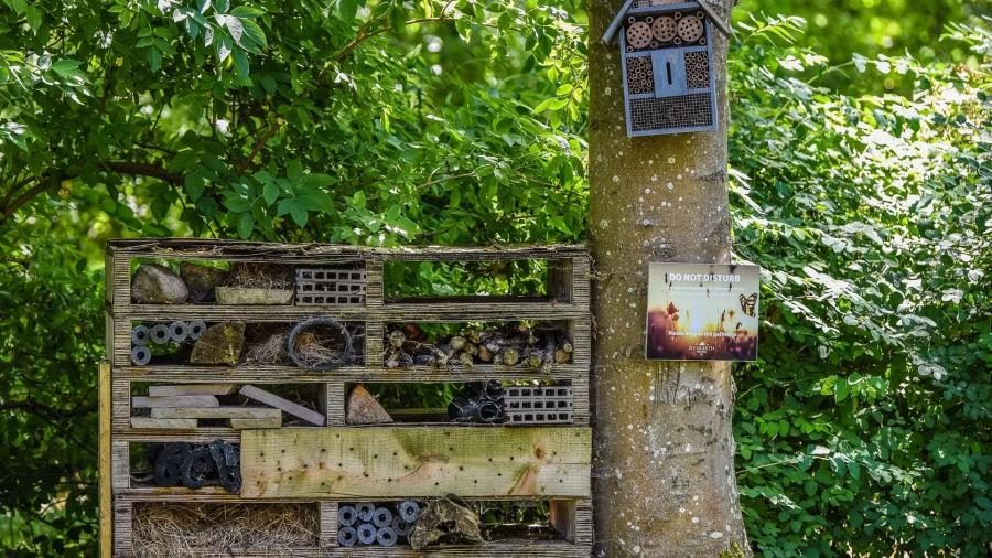 bug den at Aysgarth Holiday Resort