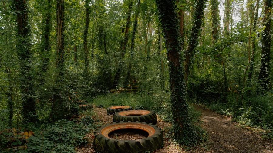 exploring the forest at Marwell Resort