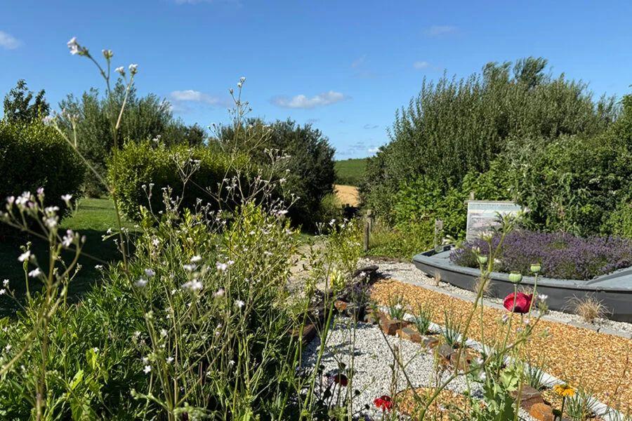 the holiday park grounds at Padstow Holiday Village