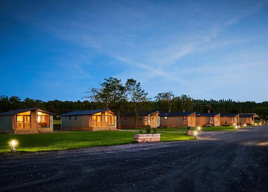 luxury lodge stays at silverwood holiday resort near errol