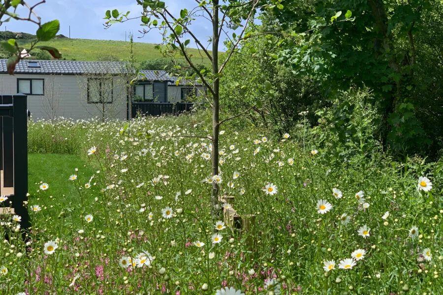 caravan holidays near the beach near Newquay in Cornwall at Sun Haven Holiday Park