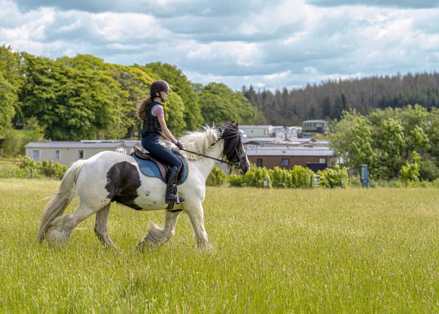 horse riding at three lochs holiday park in newton stuart