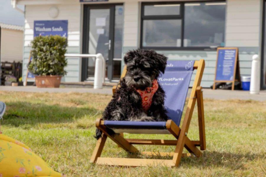 Waxham Sands Holiday Park dog friendly park near Great Yarmouth