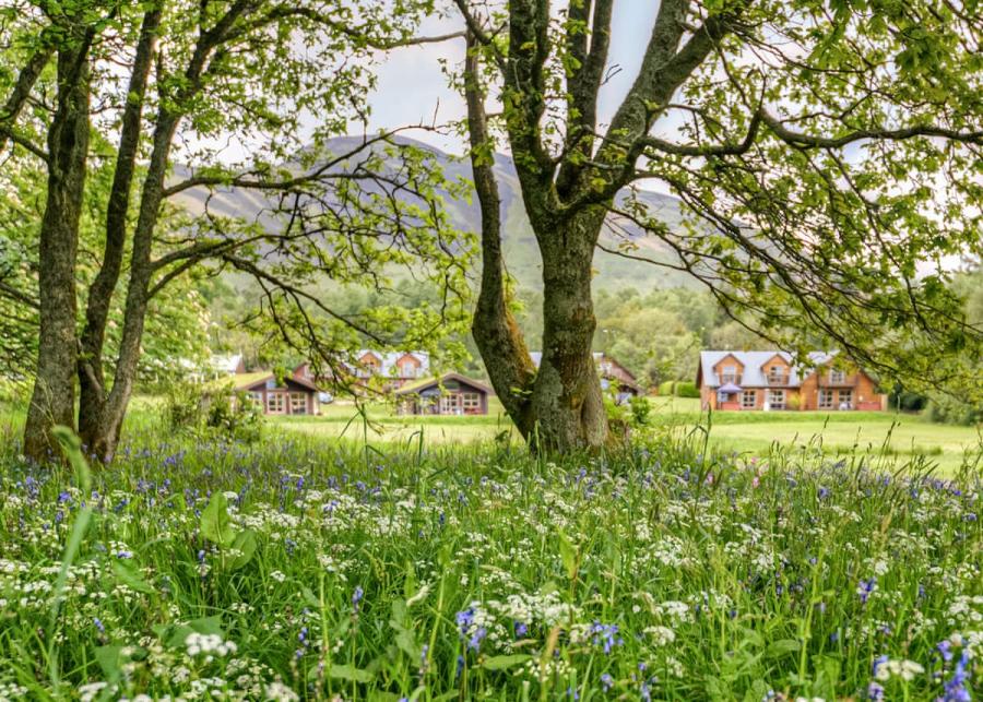 loch lomond waterfront luxury lodges near balmaha