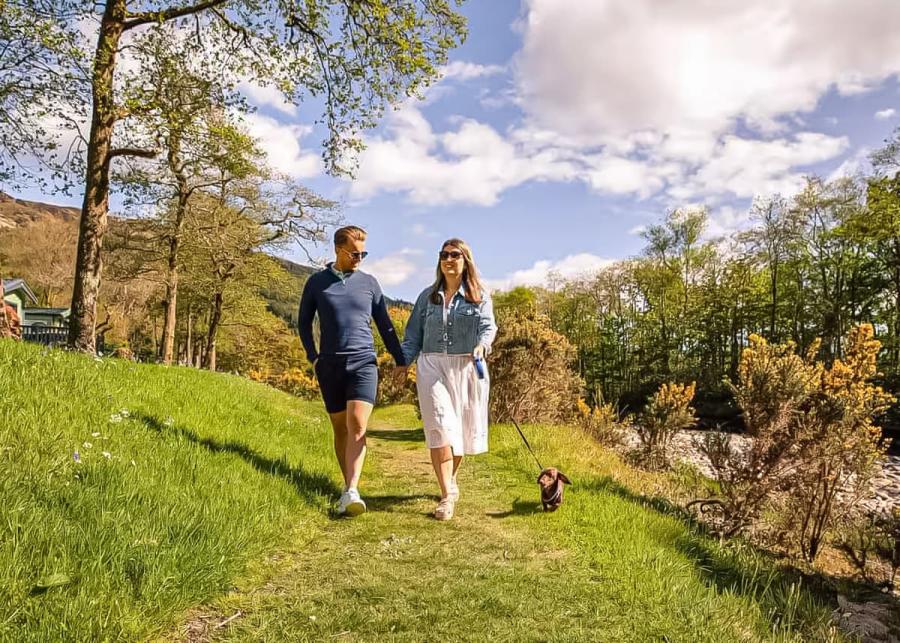 dog friendly holiday at stratheck holiday park in argyll 