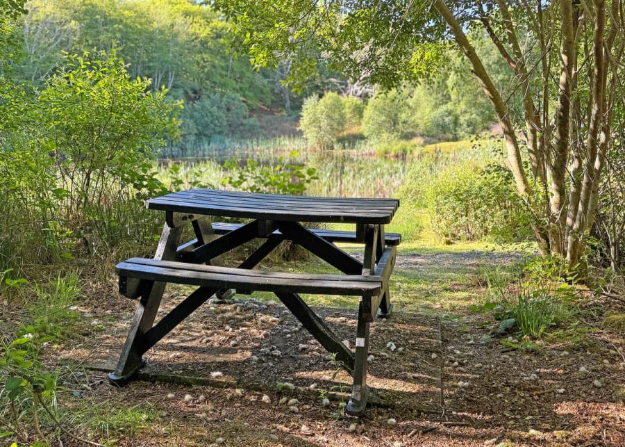 tralee bay holiday park in argyll & bute