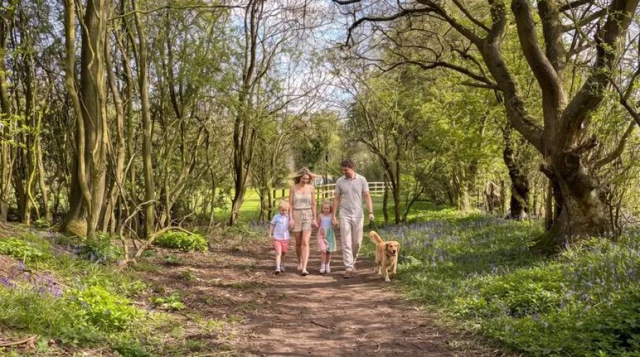 woodland walks around Kingfisher Holiday Park